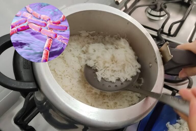 Guardar arroz na panela pode fazer mal à saúde?